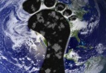 carbon foot print